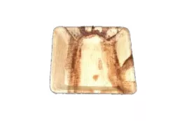 Assiette palme carrée 17x17x2.5cm (13D01)